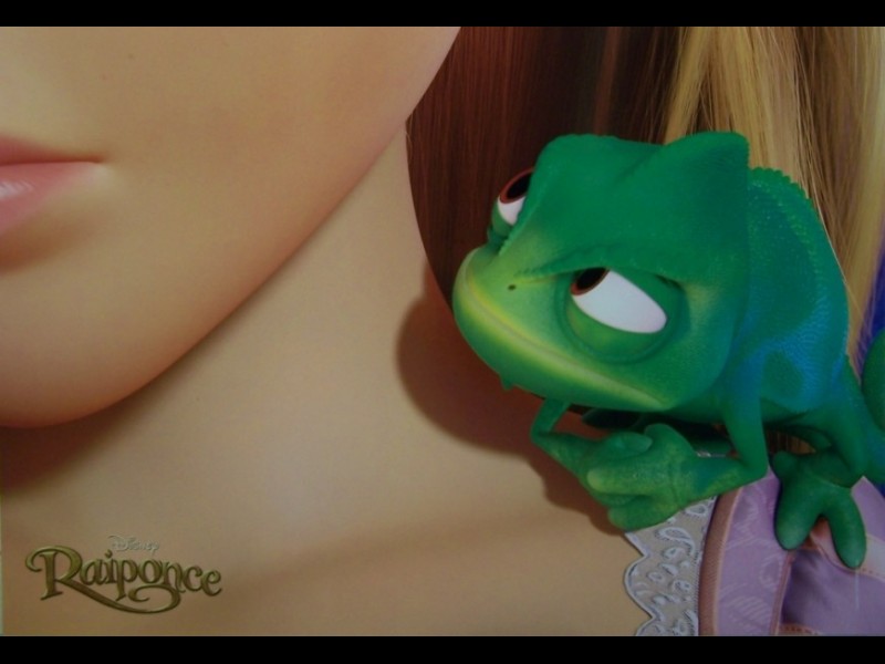 Photo du film RAIPONCE - TANGLED