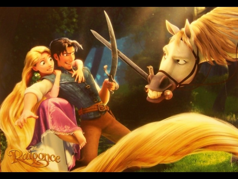 Photo du film RAIPONCE - TANGLED