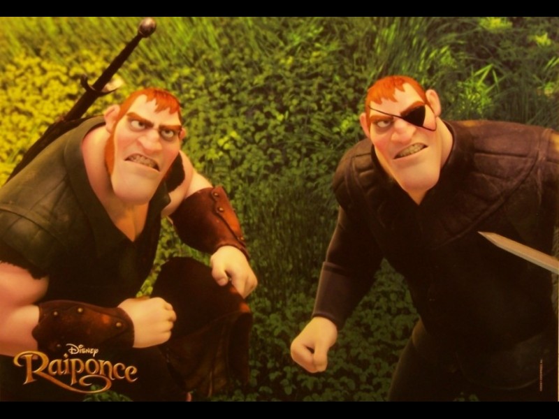 Photo du film RAIPONCE - TANGLED