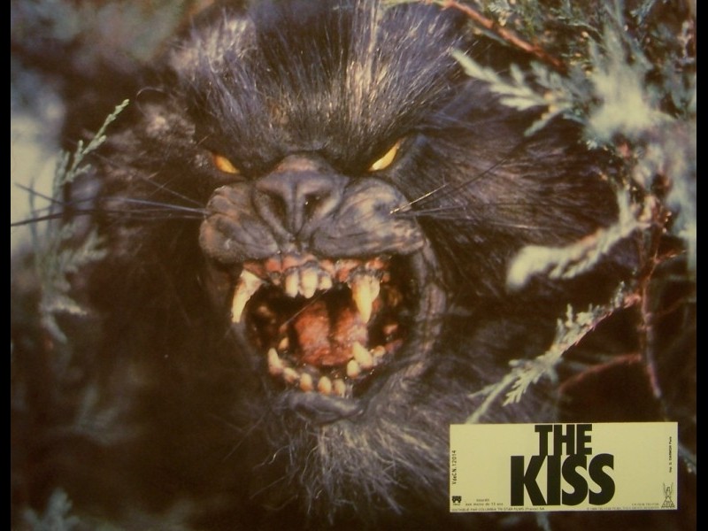 Photo du film THE KISS