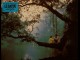 BAYOU (LE) - SHY PEOPLE