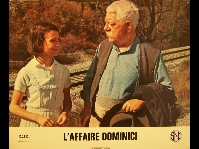 Photo du film AFFAIRE DOMINICI (L')