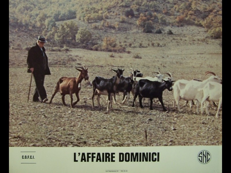 Photo du film AFFAIRE DOMINICI (L')