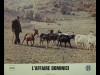 AFFAIRE DOMINICI (L')
