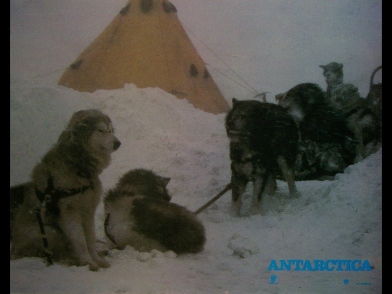 Photo du film ANTARTICA