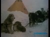 ANTARTICA