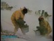 ANTARTICA