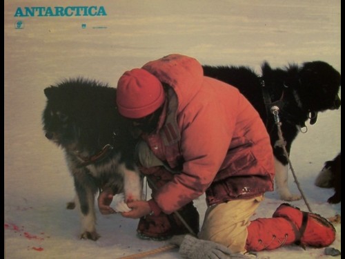 ANTARTICA