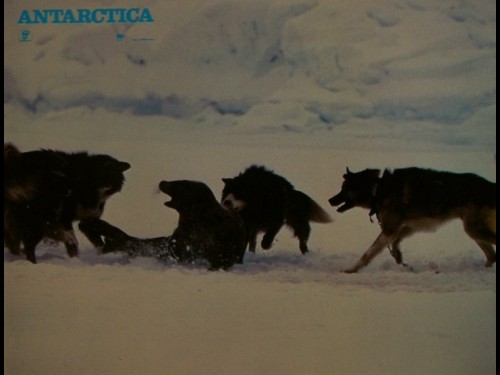 ANTARTICA