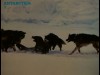 ANTARTICA