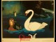 CYGNE ET LA PRINCESSE (LE) - THE SWAN PRINCESS