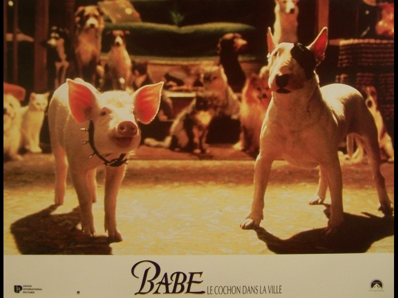 Photo du film BABE