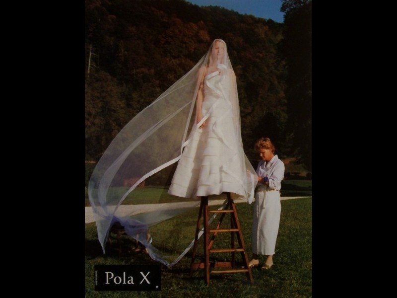 Photo du film POLA X