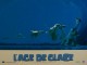 Photo du film AGE DE GLACE (L') - ICE AGE