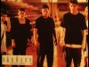 FACULTY - THE FACULTY