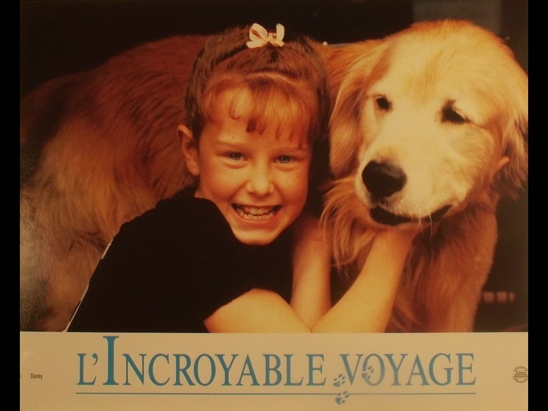 Photo du film INCROYABLE VOYAGE (L')