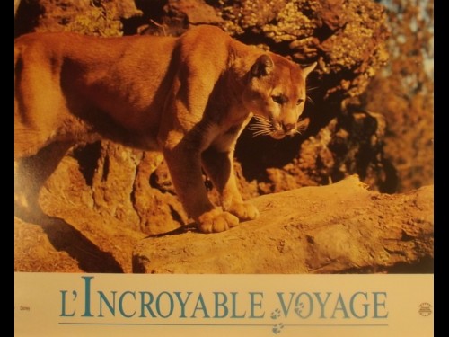 INCROYABLE VOYAGE (L')