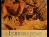 INCROYABLE VOYAGE (L')