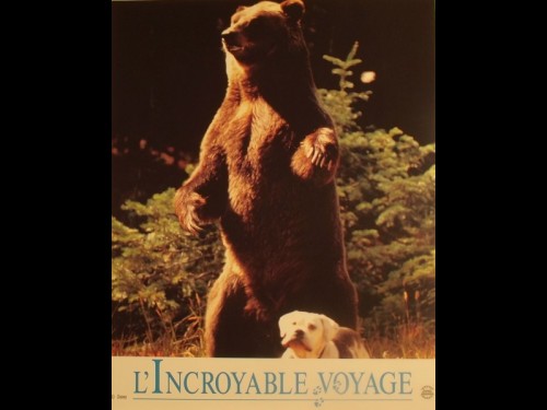 INCROYABLE VOYAGE (L')