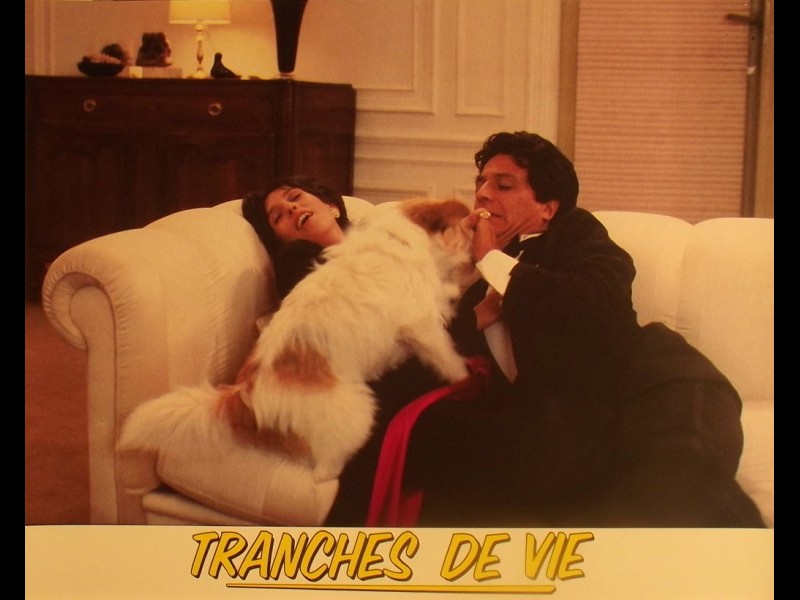 Photo du film TRANCHES DE VIE