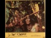 FORET D'EMERAUDE (LA) - THE EMERALD FOREST