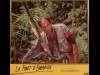 FORET D'EMERAUDE (LA) - THE EMERALD FOREST