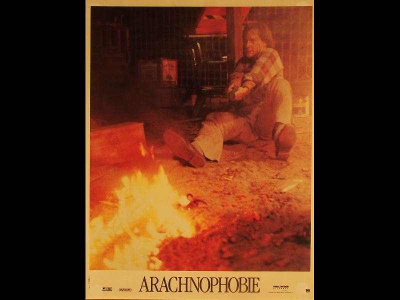 Photo du film ARACHNOPHOBIE - ARACHNOPHOBIA