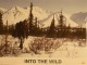 Photo du film INTO THE WILD