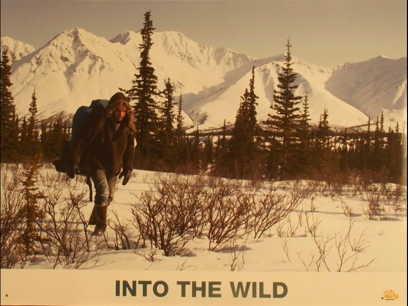 Photo du film INTO THE WILD