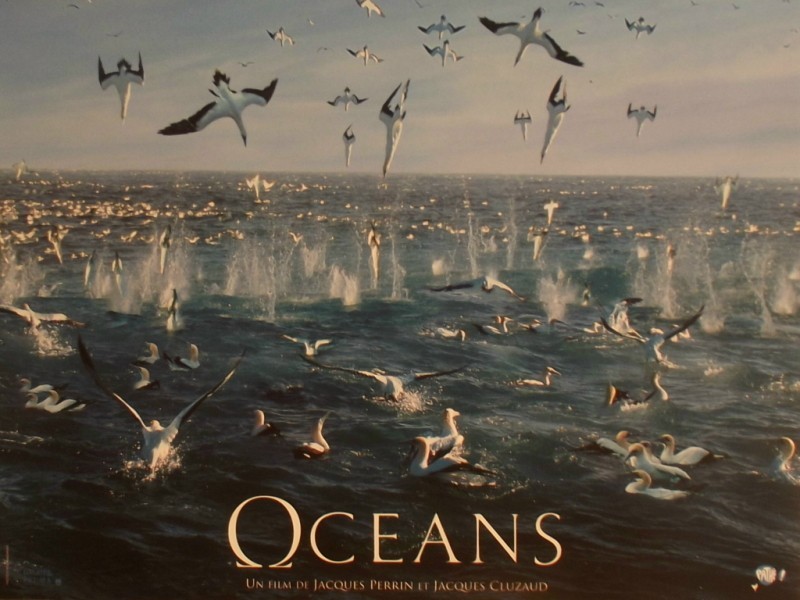 Photo du film OCEANS