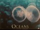 Photo du film OCEANS