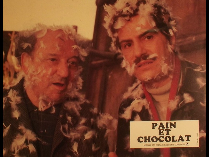 Photo du film PAIN ET CHOCOLAT - PANE E CIOCCOLATA