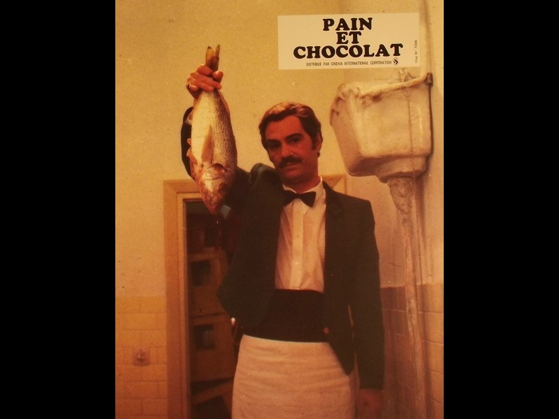 Photo du film PAIN ET CHOCOLAT - PANE E CIOCCOLATA