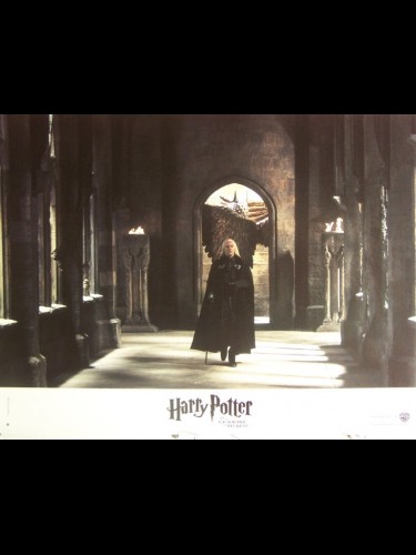 HARRY POTTER ET LA CHAMBRE DES SECRETS - HARRY POTTER AND THE CHAMBERS OF SECRETS