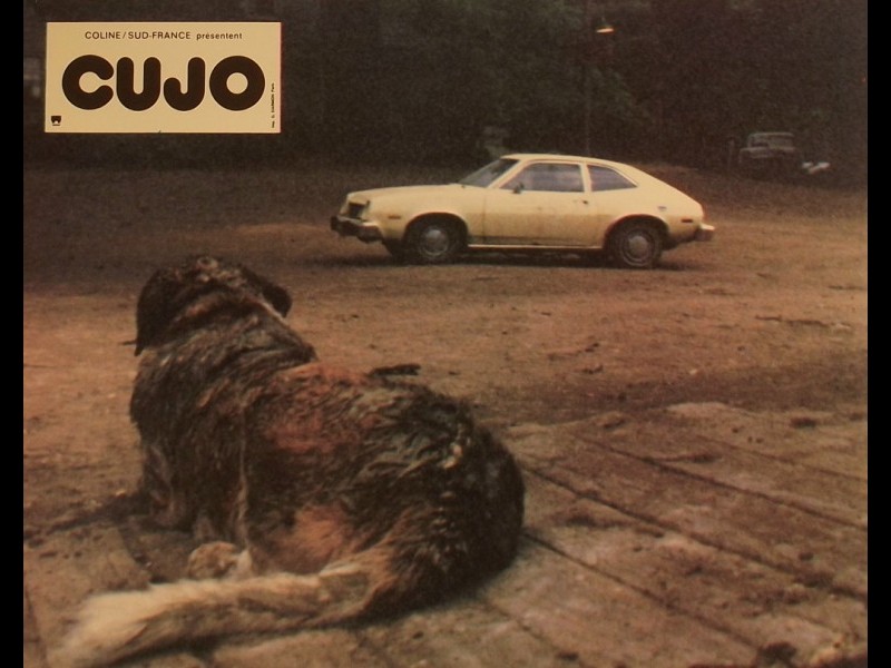 Photo du film CUJO