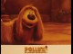 POLLUX
