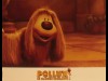 POLLUX