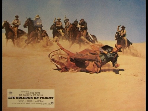 VOLEURS DE TRAINS (LES) - THE TRAIN ROBBERS