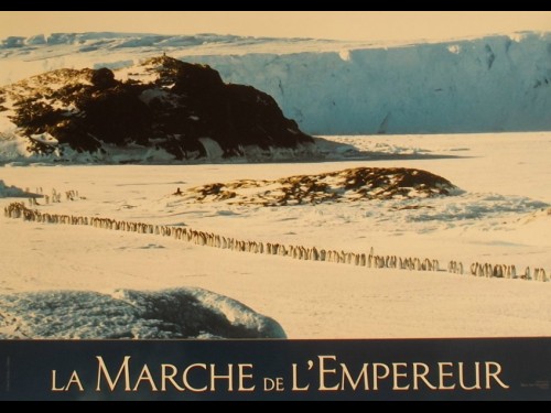 MARCHE DE L'EMPEREUR (LA) - MARCH OF THE PENGUINS