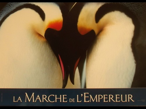 MARCHE DE L'EMPEREUR (LA) - MARCH OF THE PENGUINS