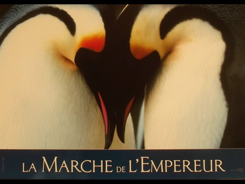 Photo du film MARCHE DE L'EMPEREUR (LA) - MARCH OF THE PENGUINS