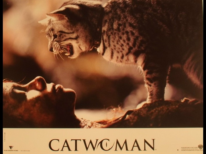 Photo du film CATWOMAN