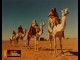 Photo du film ASTERIX ET OBELIX-MISSION CLEOPATRE
