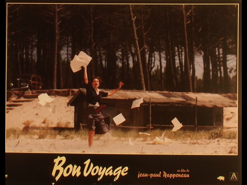 Photo du film BON VOYAGE