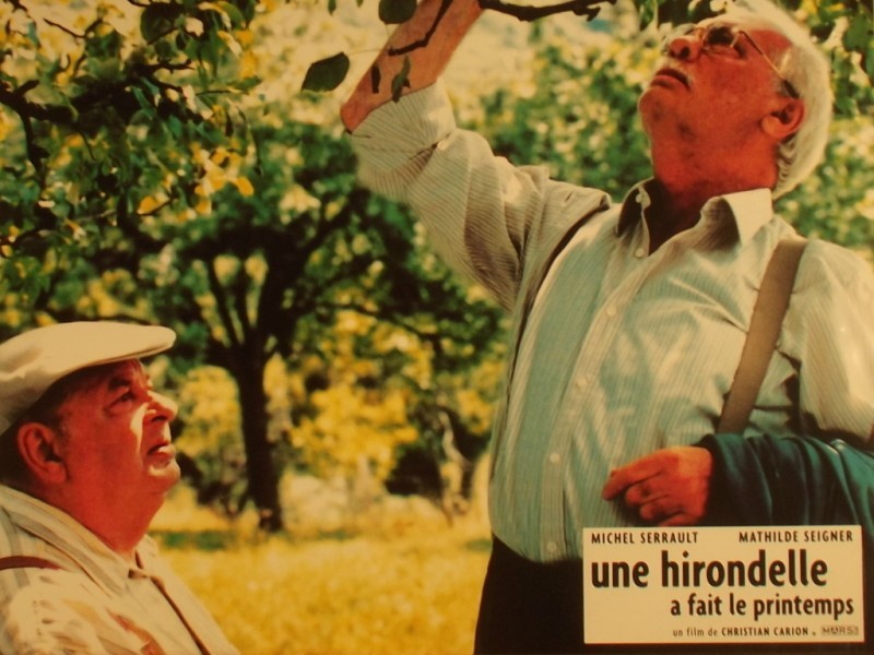 Photo du film HIRONDELLE A FAIT LE PRINTEMPS (UNE)