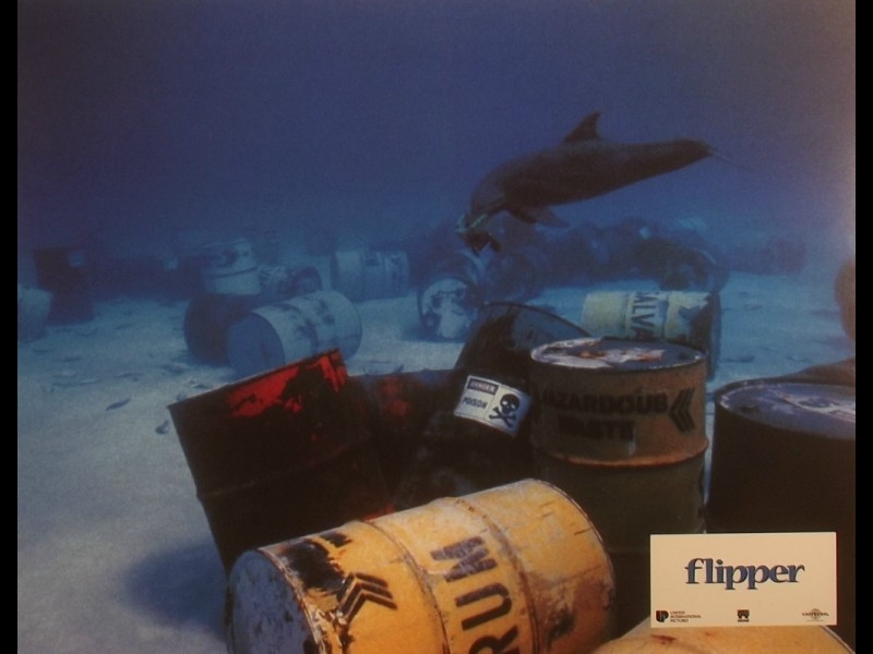 Photo du film FLIPPER