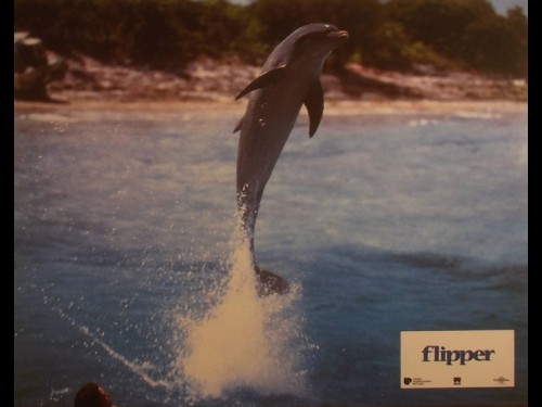 FLIPPER