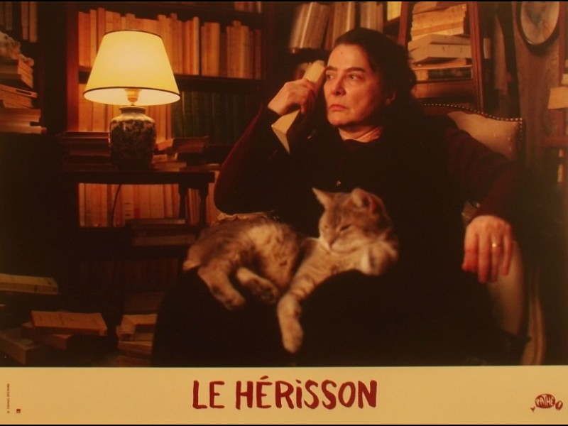 Photo du film LE HERISSON