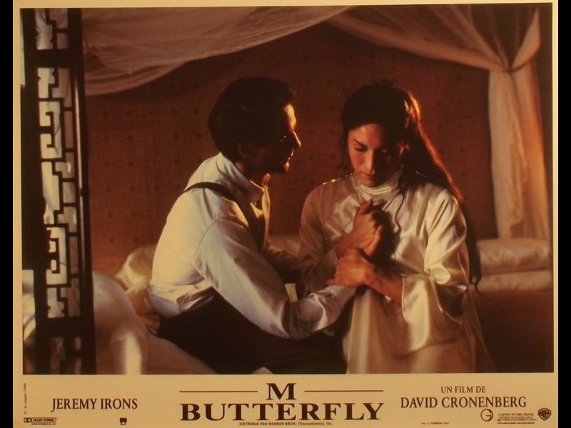 Photo du film M BUTTERFLY