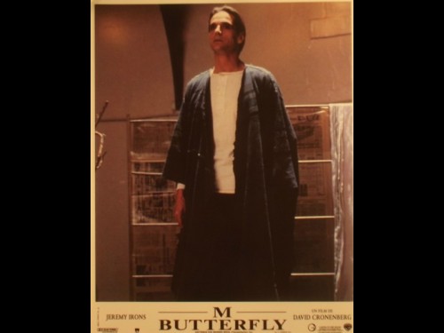 M BUTTERFLY